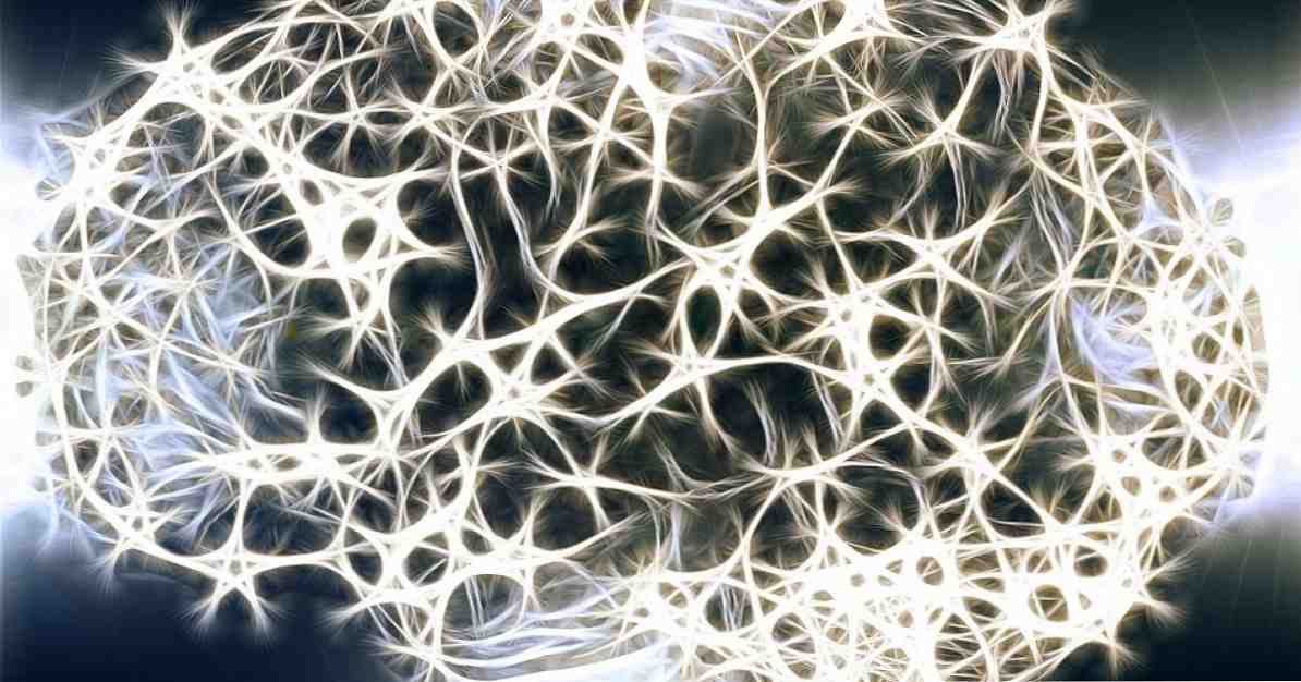 Jaké jsou axony neuronů? / Neurovědy