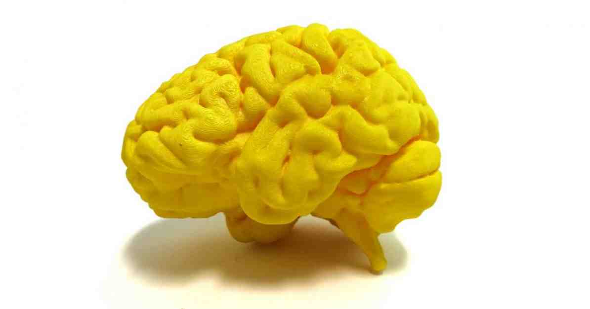 Smegenų sritys, kurios specializuojasi kalboje, jos vieta ir funkcijos / Neurologijos