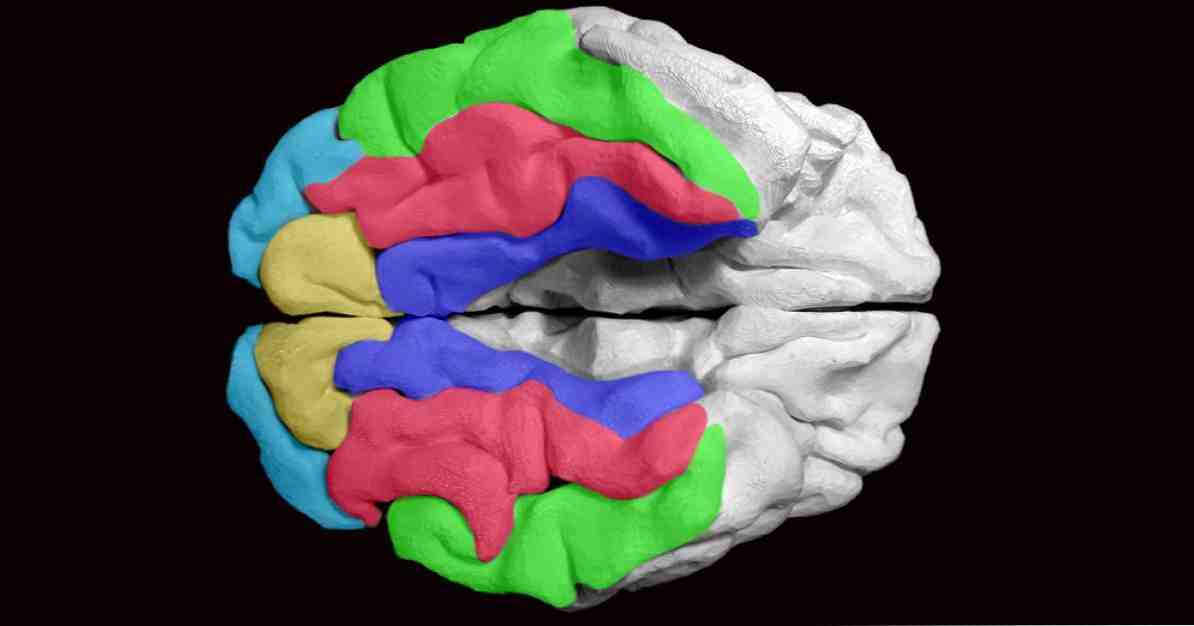 Kognitivna rezerva je tisto, kar je in kako nas varuje pred demenco