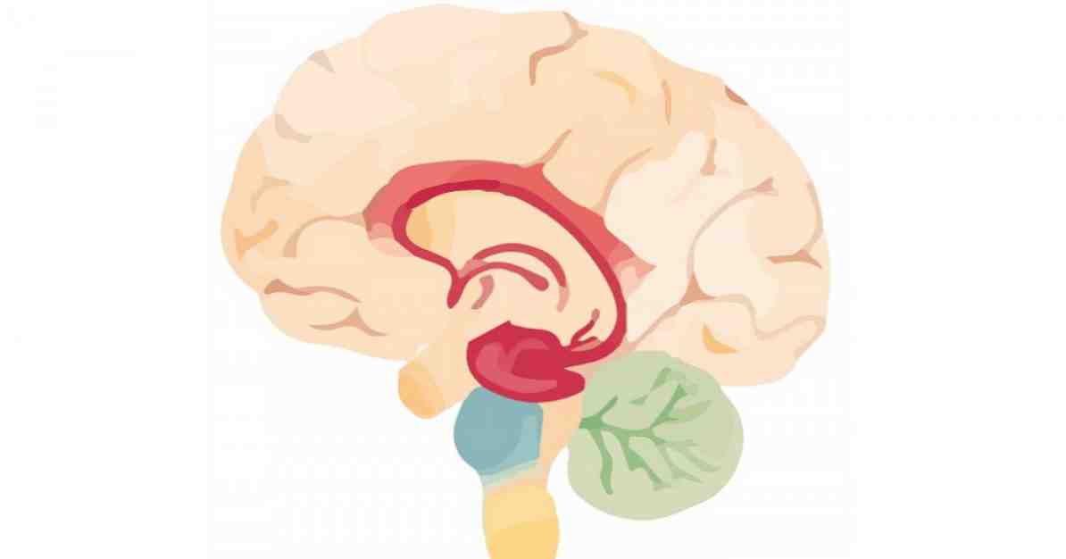 Organiczny zespół mózgu, co to jest, przyczyny i związane z tym objawy / Psychologia kliniczna