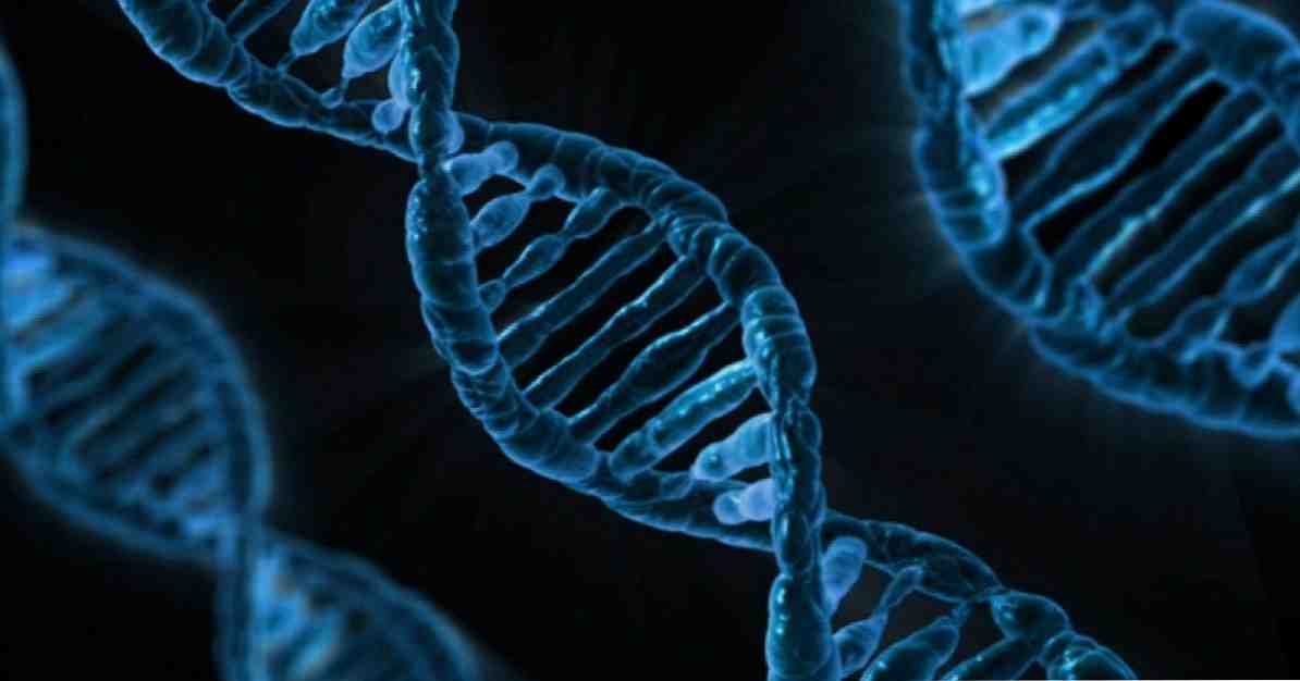 Er vi slaver til vores gener? / psykologi