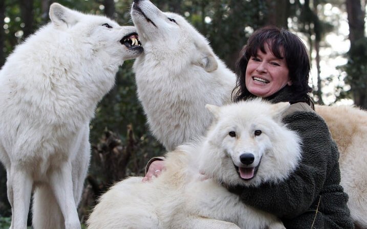 Tanja Askani, kobieta, która „mówi” językiem wilków