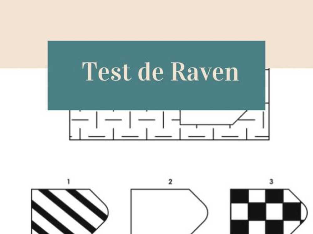 Test Raven interprétation des résultats