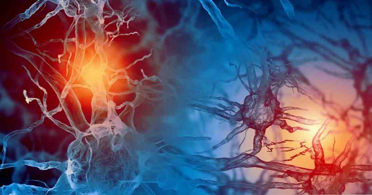 أنواع الهرمونات ووظائفها في جسم الإنسان / علوم الأعصاب