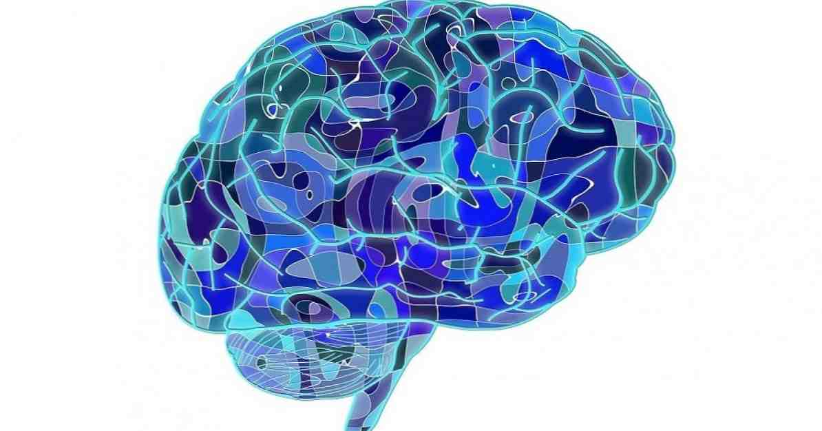 Typer av minne Hvordan lagrer minnet menneskehjernen? / psykologi