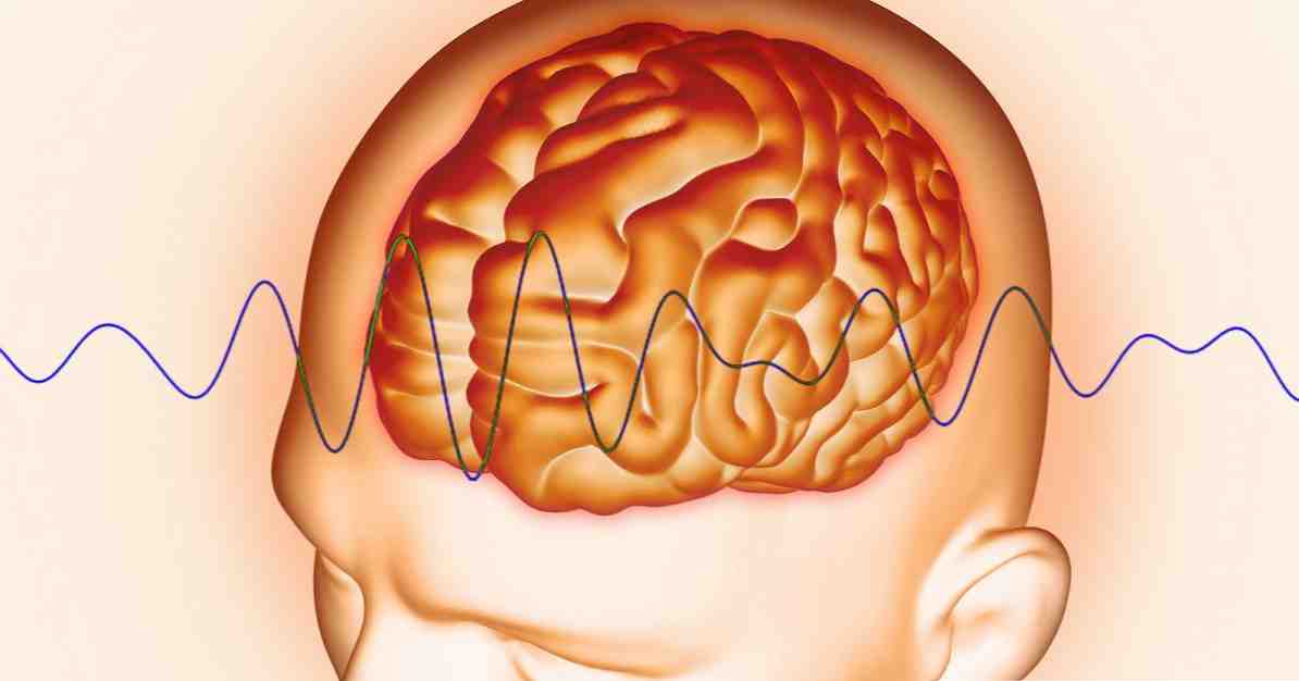 Typen hersengolven Delta, Theta, Alpha, Beta en Gamma / neurowetenschappen