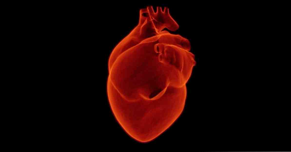 أنواع أعراض عدم انتظام دقات القلب والأسباب المحتملة / علم النفس العيادي