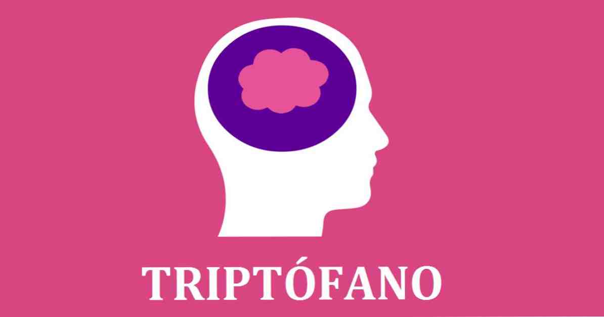 Tryptofanové vlastnosti a funkce této aminokyseliny / Neurovědy