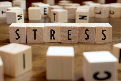 Ảnh hưởng của stress đến sức khỏe / Tâm lý học