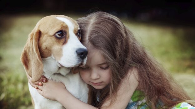 Empati pada anjing kekuatan penyembuhan / Kesejahteraan