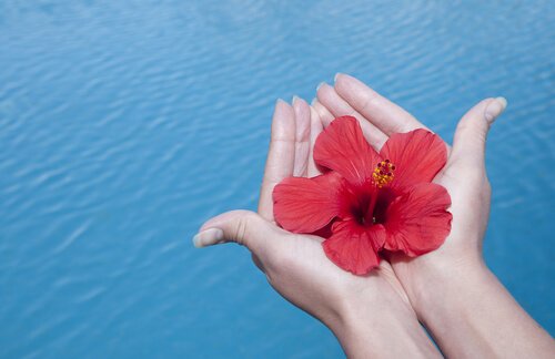 감사, 비밀의 성분 / 복지