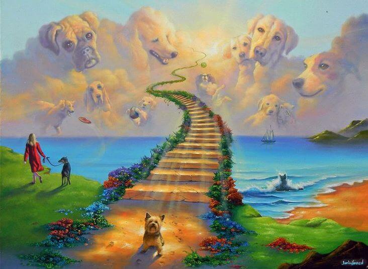 Legenda Jembatan Pelangi, langit hewan peliharaan kita / Budaya