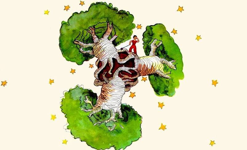 Baobabs og den lille prins (skjult frygt) / psykologi