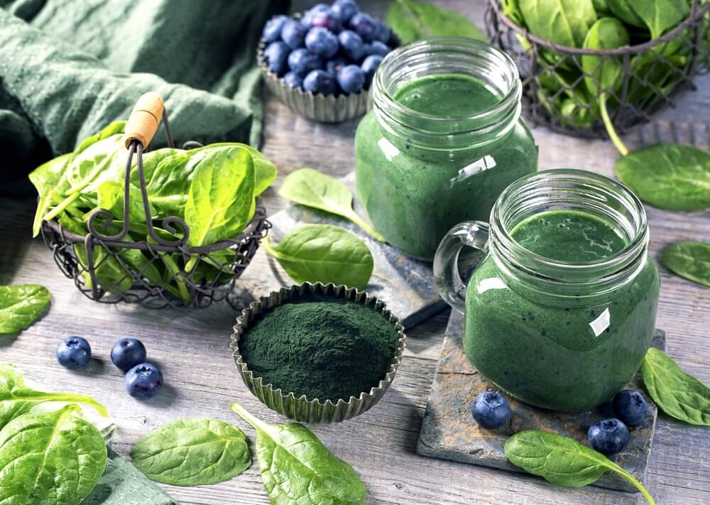 5 výhod spiruliny na váš mozog