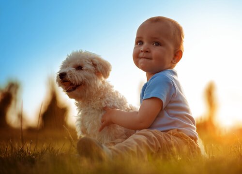 Životinje i bebe imaju prednost od rastućih zajedno / psihologija