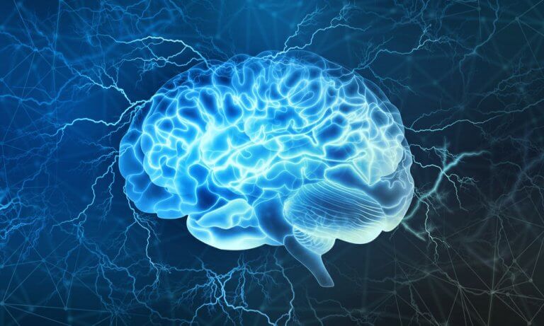 เยื่อหุ้มสมองด้านหน้าส่วนหน้าซึ่งเป็นส่วนที่น่าสนใจที่สุดของสมอง / ประสาท