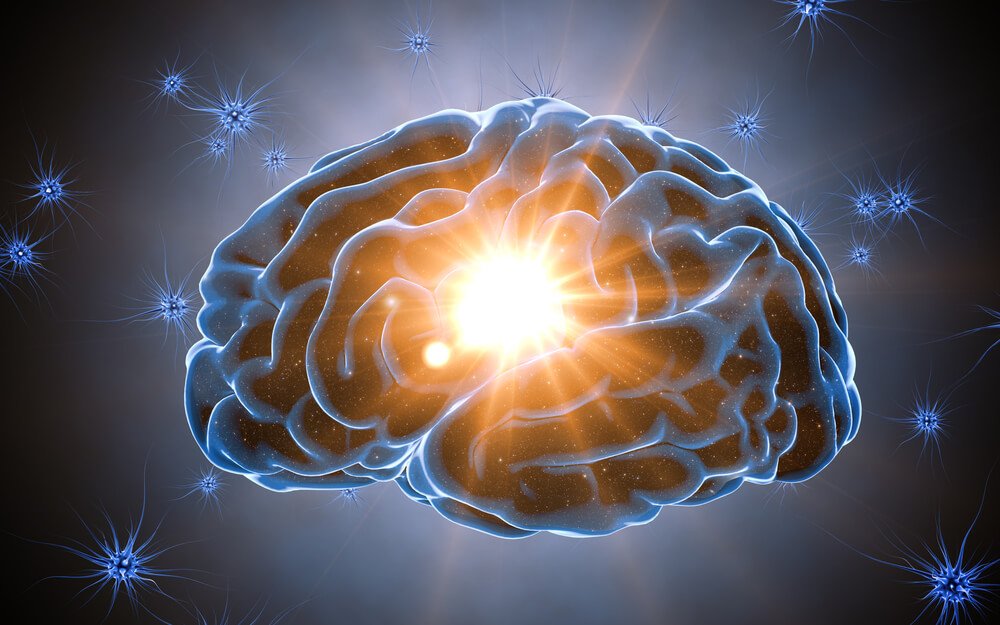 認知保護区は私たちの脳を保護します / 神経科学
