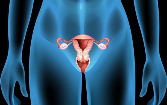 Symptomer på ovariecyster, årsager og behandlinger / sundhed