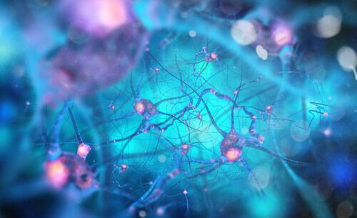 Vet du hvilke typer neuroner vi har, deres egenskaper og deres funksjoner?