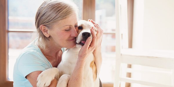 Terapi med hundar, vad är deras fördelar? / psykologi