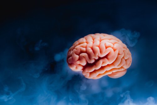 Brain Tsunami Hvad sker der i hjernen før døden / neurovidenskab