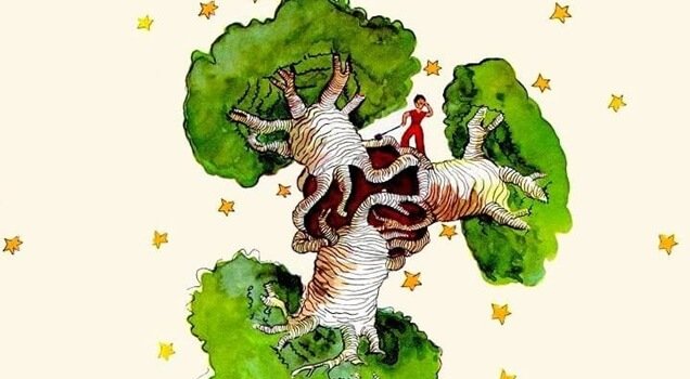 En baobab i hjertet, en afspejling af The Little Prince / kultur