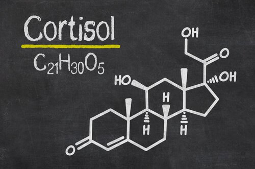 Cortisol, hormone căng thẳng / Tâm lý học