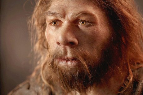 Neandertalien aivot