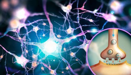 Glutamate, neurotransmitter dengan beberapa fungsi (dan tidak diketahui) / Ilmu saraf