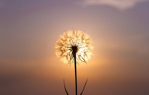 感情的な責任 / 福祉