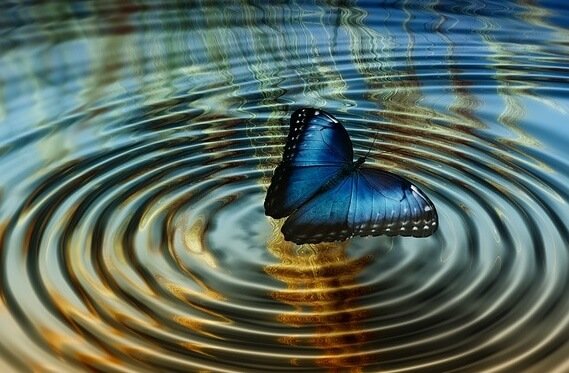 Teorien om kaos eller når flappen på en sommerfugl forandrer alt / psykologi