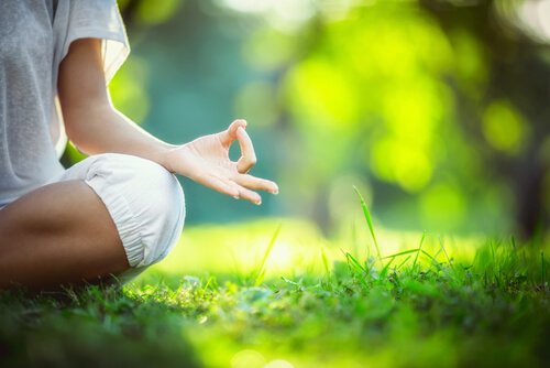 Mindfulness para o nosso dia a dia / Bem-estar