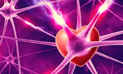 Нейрони, гормони і любов / Неврології