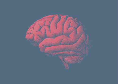 Hvorfor er hjernen eldre? Svaret ligger i gener / nevrovitenskap