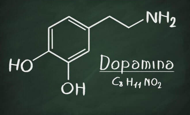 Hvad er dopamin og hvilke funktioner har den? / psykologi